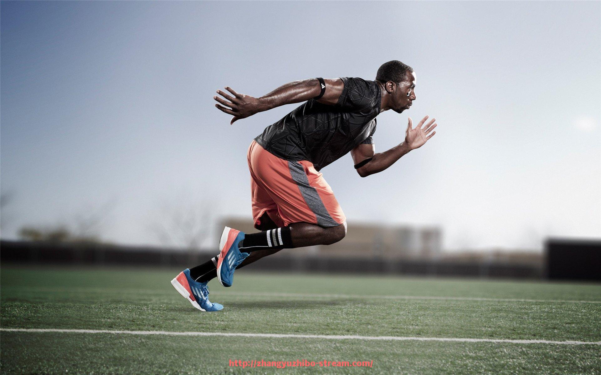 章鱼直播-星驰健身器材品牌产地介绍及主打产品分析